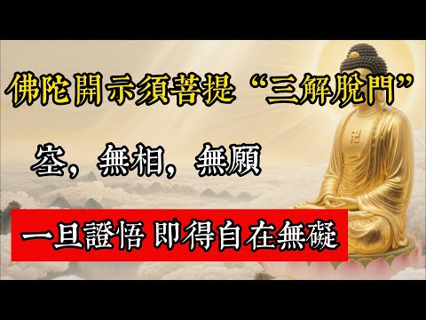 佛陀開示須菩提“三解脫門”：空，無相，無願！一旦證悟，即得自在無礙！#佛教 #佛家 #佛法 #佛學知識 #佛學智慧 #修心修行 #佛教文化 #禪悟人生 #傳統文化