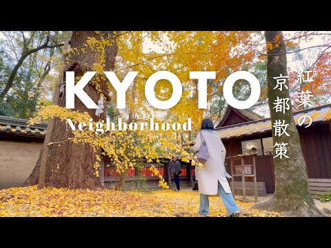 Autumn trip to #Kyoto Japan | Autumn Hidden Gems｜Two-Day Trip Through Temples, Cafés｜Japan Vlog