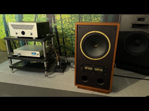 The TANNOY SUPER GOLD MONITOR! Eye Of The Tiger - Judith Owen [4Kᵁᴴᴰ Direct Recording HQ Sound]