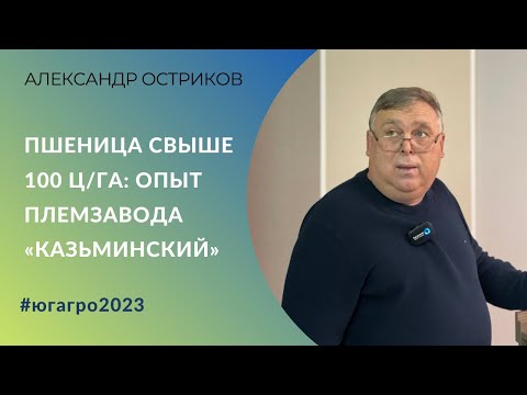 Пшеница свыше 100 ц/га: опыт СПК племзавода «Казьминский» (Ставропольский край)