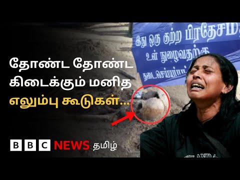 பிபிசி தமிழ் தொலைக்காட்சி செய்தியறிக்கை | BBC Tamil TV News 04/07/2025
