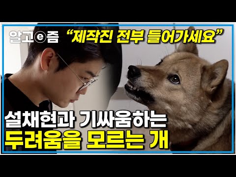 "고맙다는 말을 드리고싶다" 이 개와 함께 시간을 보낸 보호자들에게 칭찬을 아끼지 않는 설채현 쌤 지금부턴 교육 들어갑니다｜세상에 나쁜 개는 없다｜알고e즘