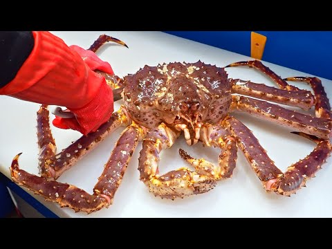 Special skill！Giant King Crab cutting Master, Luxurious sashimi, Crab fried rice/巨大帝王蟹切割大師,奢華蟹腳,蟹膏炒飯