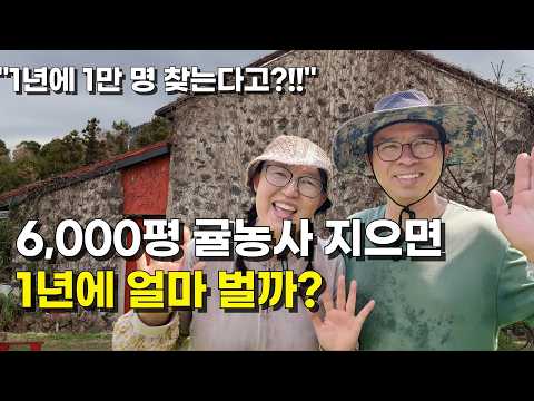 서울 생활 정리하고 부부가 제주도로 귀농한 이유 l 귤농사 6천평 수익은?