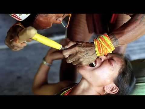 一口氣看完不同的家園故事，有人住在洞穴裡有人住在水上，也有人住在極寒之地，跟著鏡頭看不同的人類生存方式