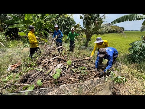 Over 50kg of Rats, Playing for Fun, Eating for Real, Destroying Rats in Flood Season, Many Crises...