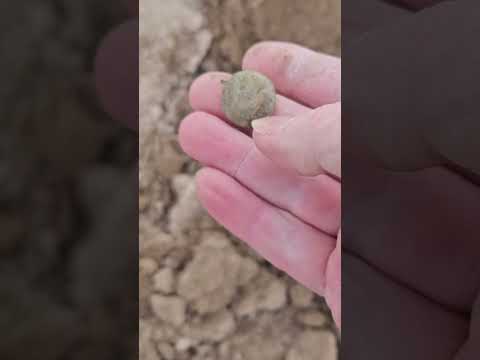 I always enjoy finding these old Military buttons. #metaldetecting #treasurehunting