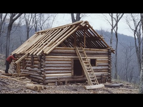 Man Solo Cabin Build | From Floor To Roof In Just 10 Days With Dog.