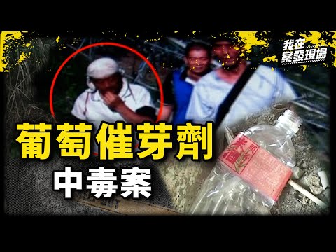 《我在案發現場》「角弓反張」現象超詭異！4人集體不適離世竟是米酒加工下毒？｜葡萄催芽劑中毒案