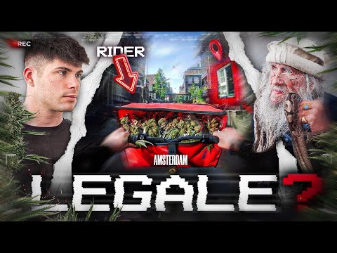 La verità nascosta dietro ai Coffee Shop di Amsterdam