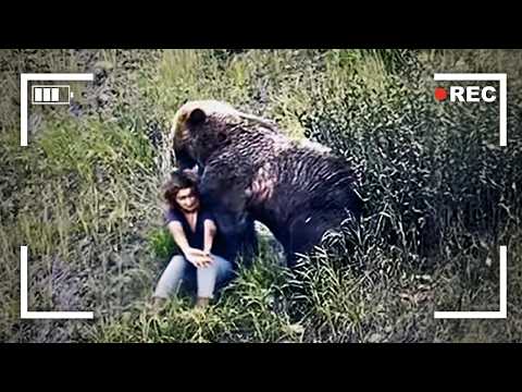 The Worst Bear Attacks Ever Recorded
