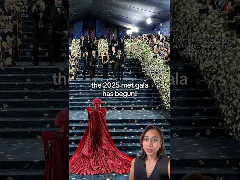 are you excited for the 2025 met gala?