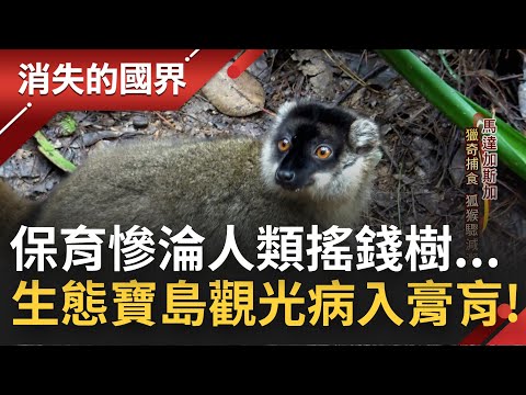 "物種寶庫"淪人類搖錢樹? 馬達加斯加觀光產業病入膏肓"保育.經濟"兩頭空! 狐猴人氣大增卻迎來最"致命"的威脅...│李文儀主持│【消失的國界PART1】20220904│三立新聞台