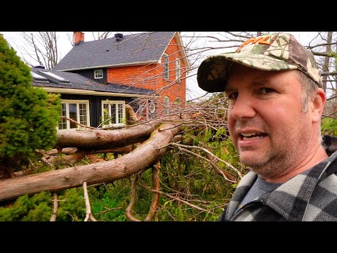 Huge Farm Cleanup After Ice Storm Disaster