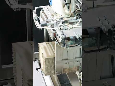 Unbelievable Automation in Box Manufacturing!