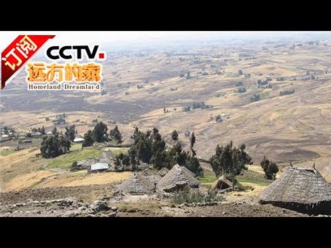 [Homeland Dreamland] 20170905 | CCTV-4