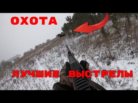 ТОЛЬКО ВЫСТРЕЛЫ!!!