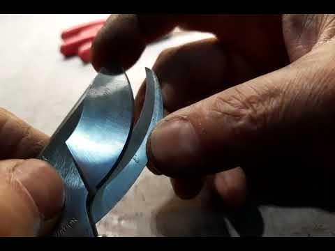 Про заточку секаторов