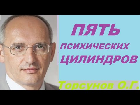 5 психических цилиндров. Торсунов О. Г.