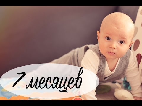 Развитие ребенка в 7 месяцев - МНОГО МИШУТКИ - Ollysadvice