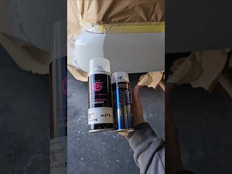 Pro Finish with Aerosol Paint? #spraying #detailing #cars #shorts #satisfying