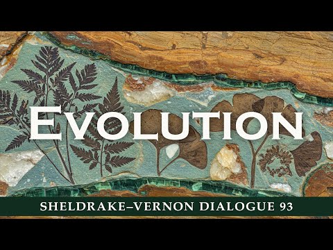 Evolution, From Natural Selection to Omega Point: Sheldrake-Vernon Dialogue 93