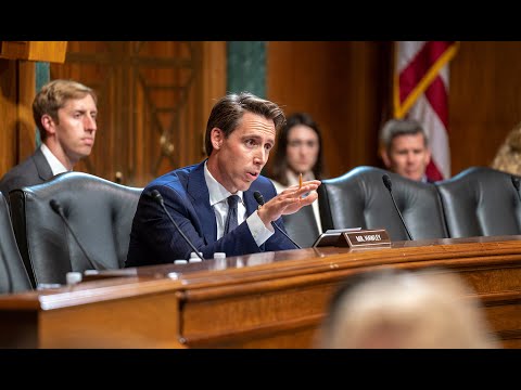 Senator Hawley Grills Google Exec During Judiciary Committee Hearing