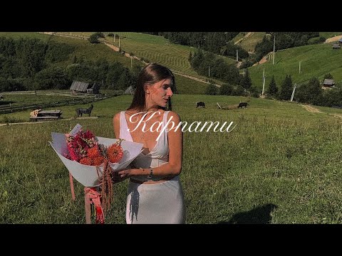 відеоспогад: дорога у Карпати, неймовірні краєвиди, овечки, теплі вечори