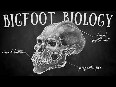 The Unsettling Biology of Sasquatch: A Deep Dive into the Science of Bigfoot