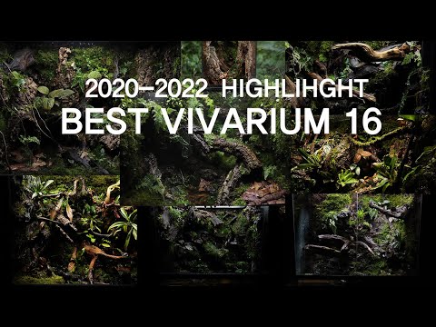 16 Best Vivarium Highlight 2020-2022