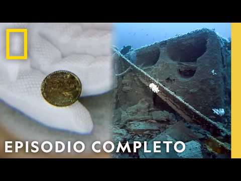 Estados Unidos: De la Guerra al Oro | Drenar los Océanos | Nat Geo en Español