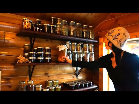 14 Essential Herbs & Remedies from Our Remote Alaskan Homestead | Off Grid Herbal Apothecary