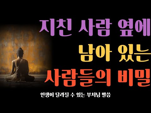 지친 사람 옆에 남아 있는 사람들의 비밀ㅣ부처님이 밝힌 관계의 진짜 깊이