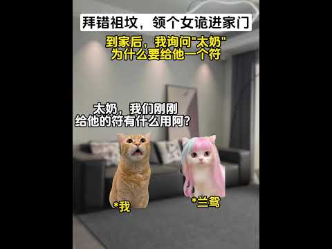 拜错祖坟，领个女鬼进家门？！！ #猫meme #猫meme小剧场 #动画 #猫meme剧场