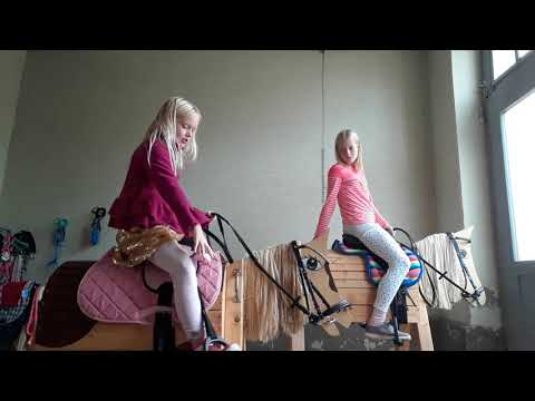 💜FMA💜 Riding in the arena with Toffifee and Amy ❤🐎🐎😘🤗