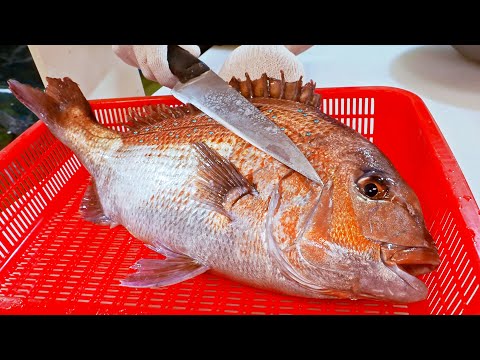 Amazing!Huge Red Seabream Cutting Skills, Luxurious Fish Sashimi, Spicy Fish Soup/最豪華!嘉臘魚切割技能, 一魚三吃