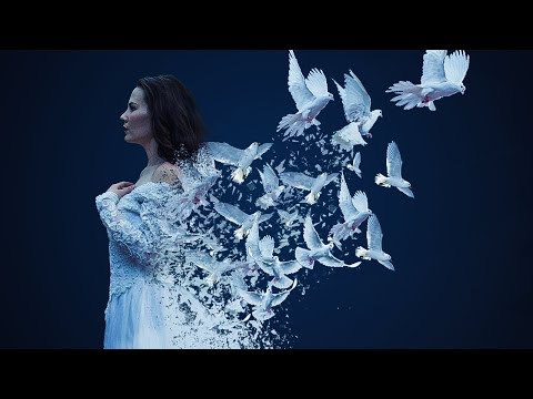 Bird dispersion photoshop effect | photoshop tutorial cc