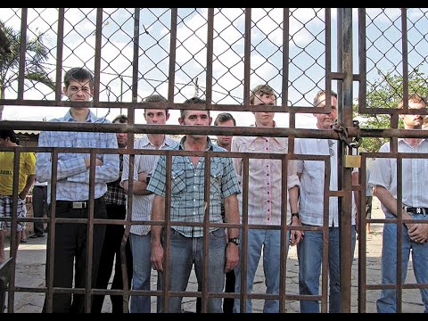 The Disturbing Mennonite Scandal Behind Women Talking