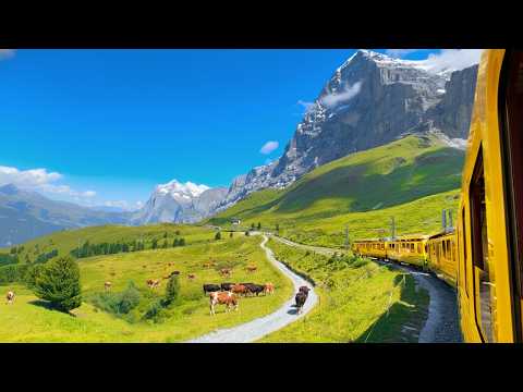 World’s Most Scenic Mountain Train! | 🇨🇭 Interlaken to Kleine Scheidegg