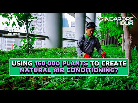 The Secrets Hiding In Singapore's Greenest Buildings | Singapore Hour