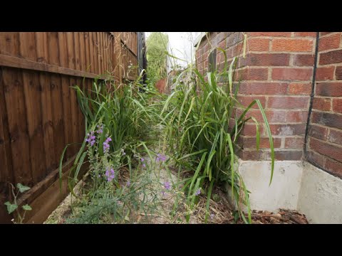 She Lost Her Husband… Then Her Dad. This Garden Meant Everything