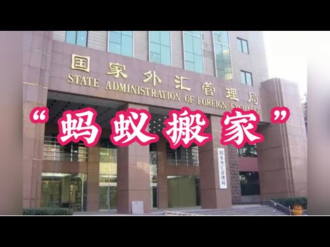 短评: 十分钟看明白“蚂蚁搬家” ｜ 曾经亲身经历 ｜ 五人以上分拆结售汇额度 ｜ 轻微违法 ｜ 触犯会上三年黑名单且没有救济途径