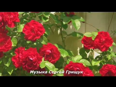 СБОРНИК -КРАСИВЫХ МЕЛОДИЙ! Мелодии  погружают в атмосферу прекрасного и загадочного #КРАСИВАЯМУЗЫКА