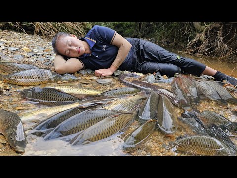 Catching giant river fish and taking them to the market to sell, cooking (grilled fish) - Ly Thi Tam