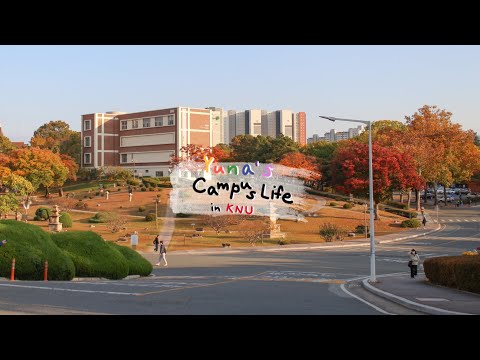 KNU campus life for exchange student | Kyungpook National University