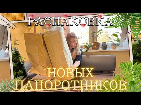 Распаковка новинок комнатных растений. Обработка растений от вредителей.