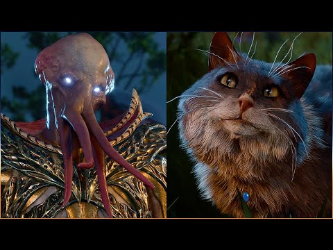 Illithid God Gale getting roasted by our favorite tressym Tara