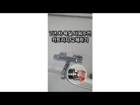 7년 차 욕실 샤워수전 카트리지 교체하기(워터웍스유진)