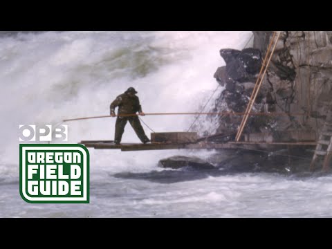 Is Celilo Falls still intact? | Oregon Field Guide