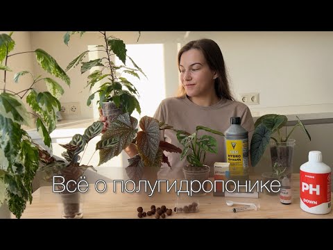 Всё о ПОЛУГИДРОПОНИКЕ для комнатных растений